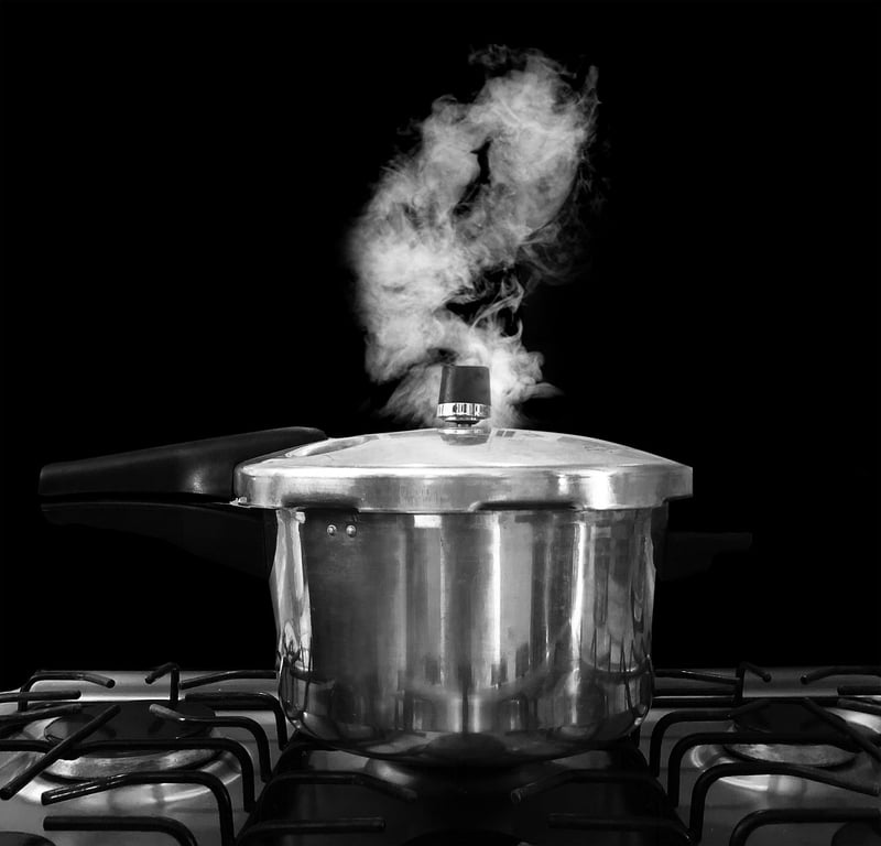 Precision Cooker
